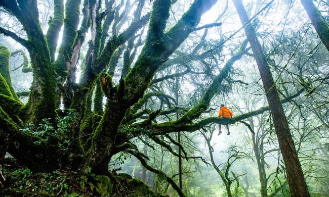 «Συναγερμός» για την κλιματική αλλαγή – Με «τρομακτική μεταμόρφωση» απειλείται το οικοσύστημα της Γης